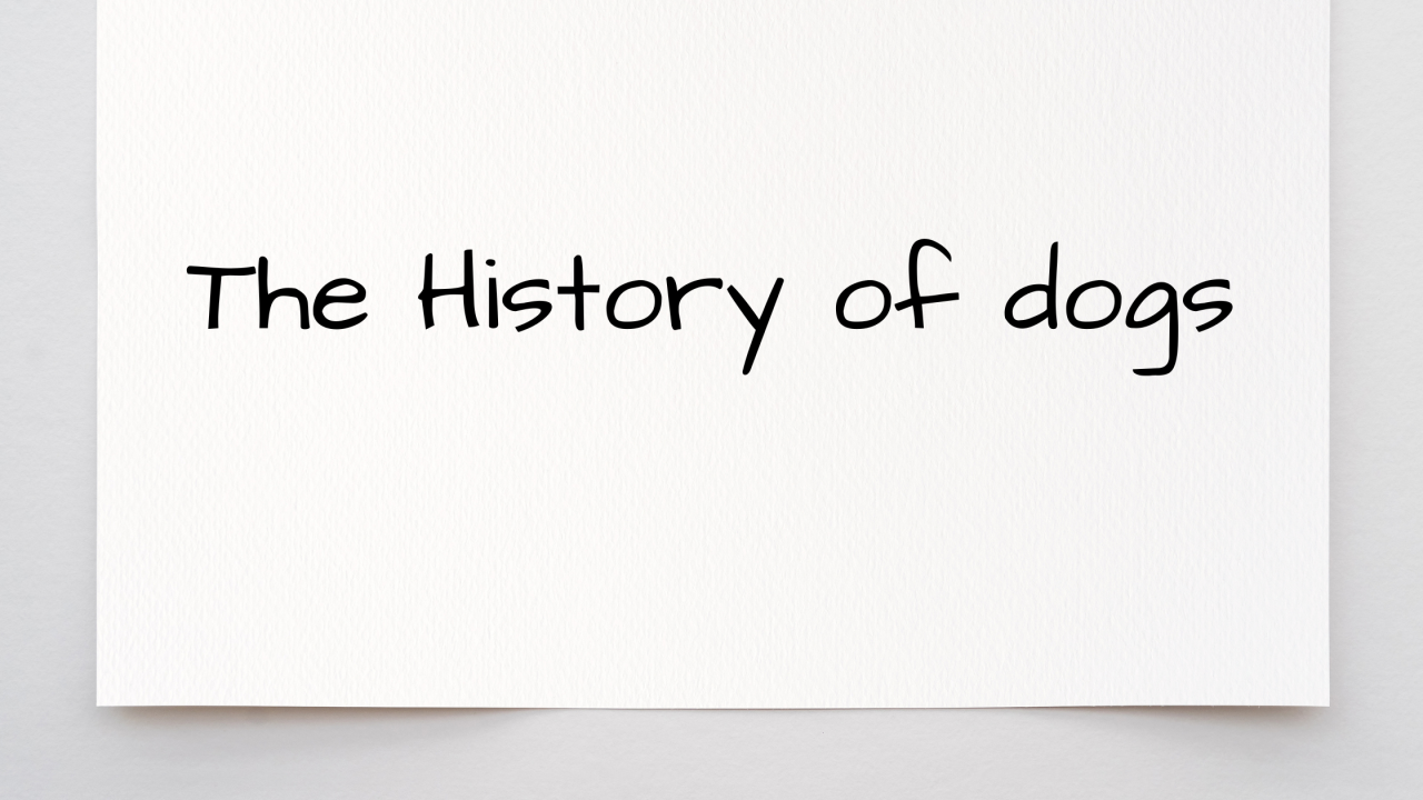 The History of Dogs