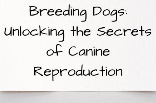 Breeding Dogs