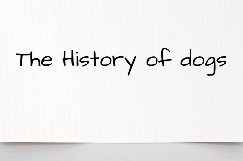 The History of Dogs
